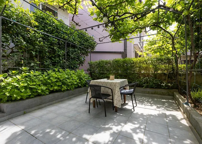 Enolabee 木洛希尼